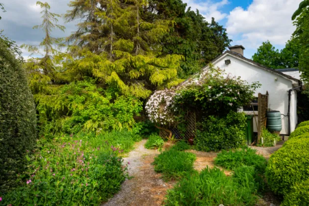 Photo of Ivy House, Loughkeen, Carrig, Birr, Co Offaly, R42 YA25