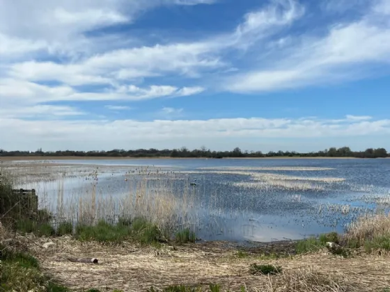 Photo of Ballykeeran Beg, Athlone, Co. Westmeath, N37 VR82