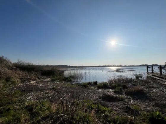 Photo of Ballykeeran Beg, Athlone, Co. Westmeath, N37 VR82