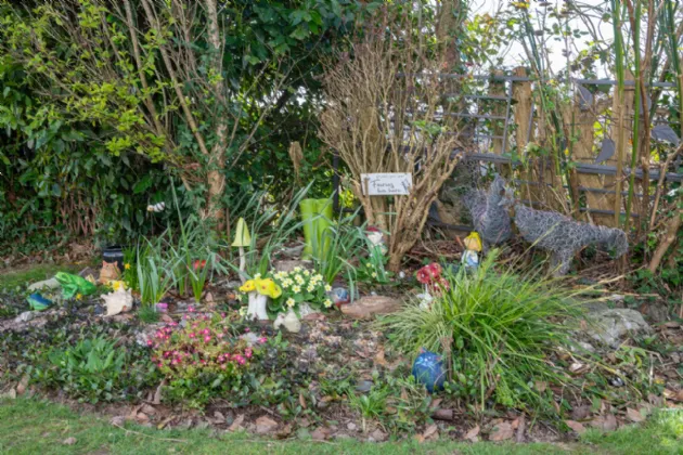 Photo of The Barony, Coachford, Co Cork, P12KD28