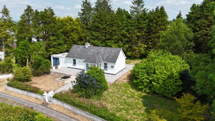 Photo of M, Cuilmore, Swinford, Co Mayo, F12T861