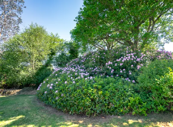 Photo of Havengate, Dawros, Kenmare, Co Kerry, V93 H2T2