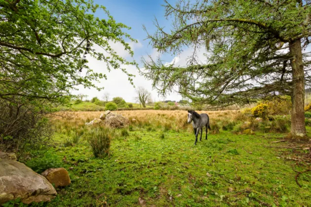 Photo of Rathosey, Coolaney, Co. Sligo, F56XH56