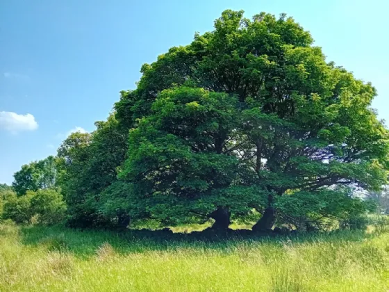 Photo of Rathosey, Coolaney, Co. Sligo, F56XH56