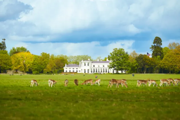 Photo of 12 St David's Terrace, Blackhorse Avenue, Dublin 7, D07 V2C0