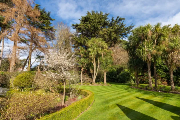 Photo of Torry, Brighton Road, Foxrock, Dublin 18, D18 Y9K6