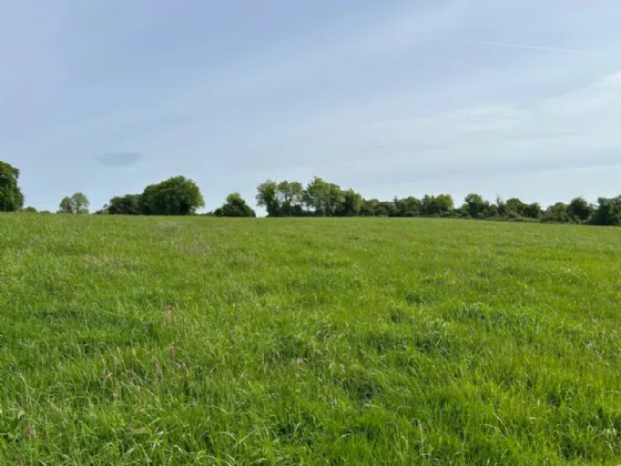 Photo of (Lot 1) Rattin, Kinnegad, Co Westmeath