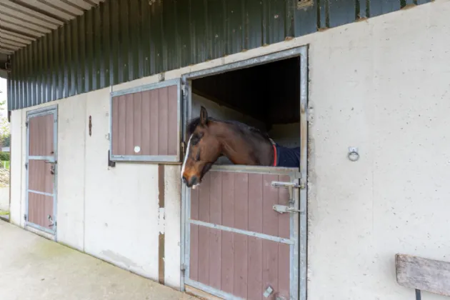 Photo of The Swallows, Raheenagurren West, Gorey, Co. Wexford, Y25N722