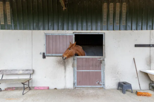Photo of The Swallows, Raheenagurren West, Gorey, Co. Wexford, Y25N722