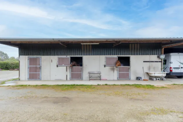 Photo of The Swallows, Raheenagurren West, Gorey, Co. Wexford, Y25N722