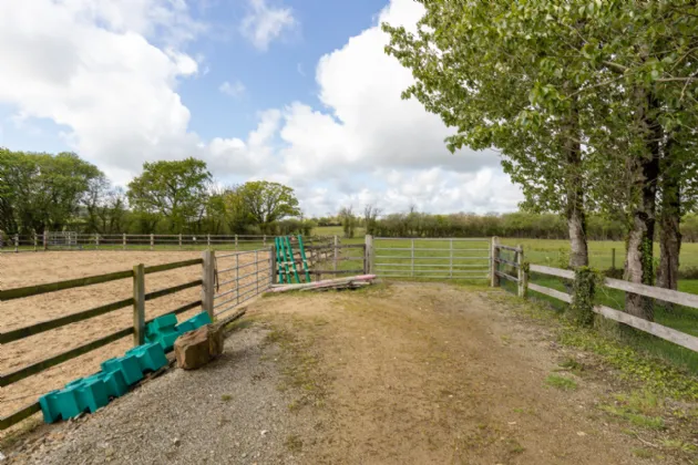 Photo of The Swallows, Raheenagurren West, Gorey, Co. Wexford, Y25N722