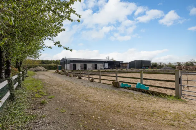 Photo of The Swallows, Raheenagurren West, Gorey, Co. Wexford, Y25N722