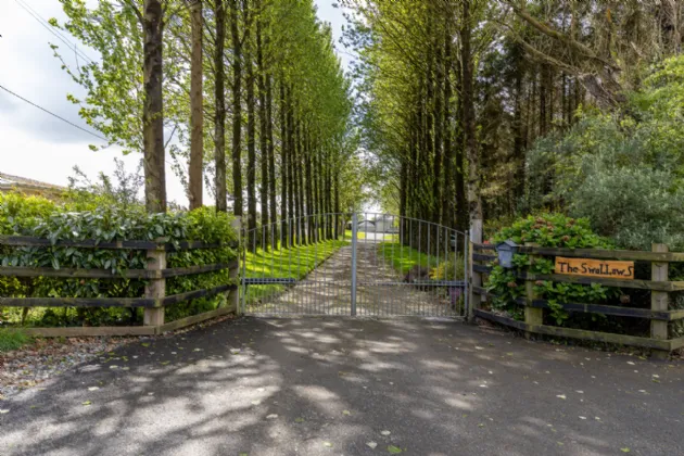 Photo of The Swallows, Raheenagurren West, Gorey, Co. Wexford, Y25N722