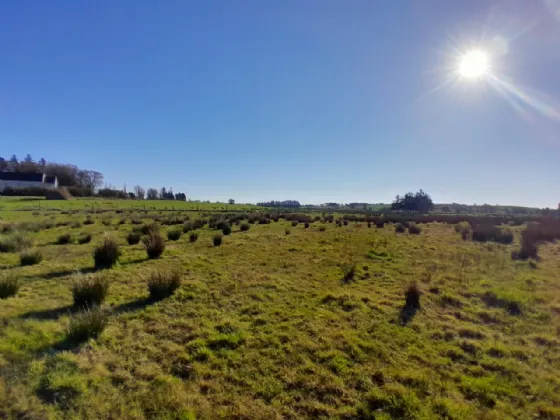 Photo of Meelick, Swinford, Co Mayo