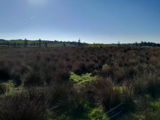 Photo of Meelick, Swinford, Co Mayo