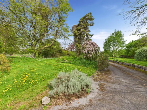 Photo of Masonbrook, Loughrea, Co. Galway, H62 DX67