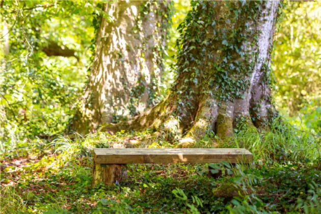 Photo of Ballydonagh House On 27 Ha/67 Acres, Cloughjordan, Co Tipperary, E53 PR99