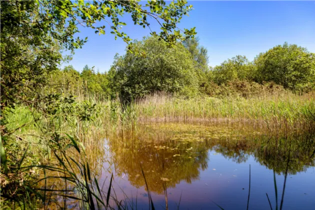 Photo of Ballydonagh House On 27 Ha/67 Acres, Cloughjordan, Co Tipperary, E53 PR99