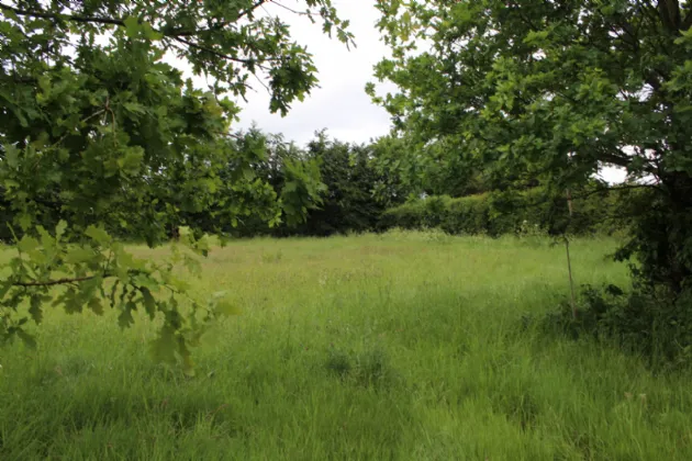 Photo of 0.75 Acre Site Slyguff, Slyguff,, Bagenalstown,, Co. Carlow