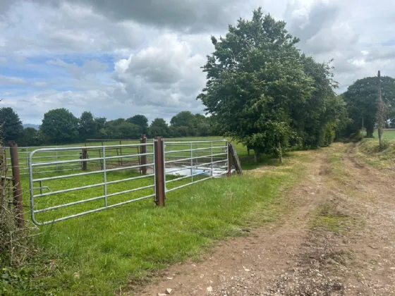 Photo of Ballyenahan, Kildorrery, Co Cork