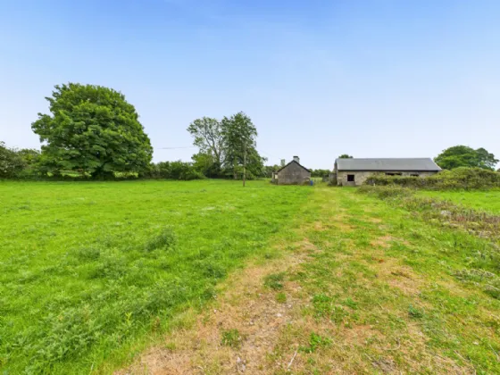 Photo of Spring Garden, Tynagh, Loughrea, Co. Galway