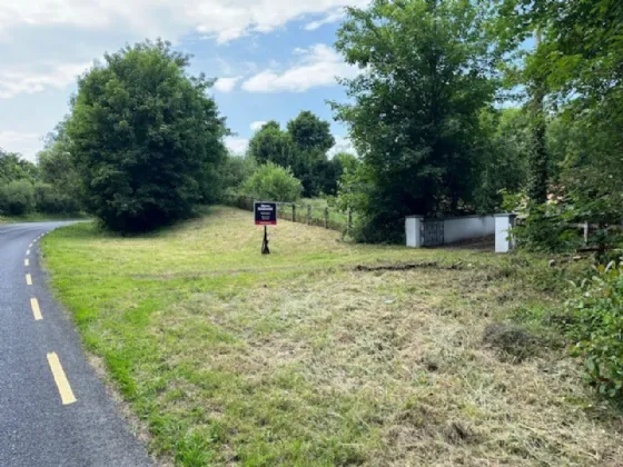 Photo of Derelict Bungalow On Circa 1.59 Acres, Brownsbarn, Thomastown, Co Kilkenny, R95 AK5V