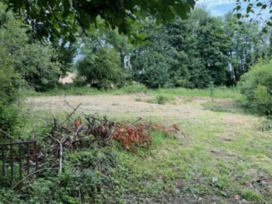 Photo of Derelict Bungalow On Circa 1.59 Acres, Brownsbarn, Thomastown, Co Kilkenny, R95 AK5V