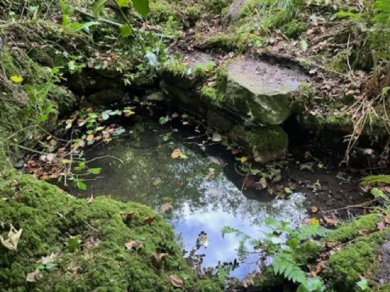 Photo of Derelict Bungalow On Circa 1.59 Acres, Brownsbarn, Thomastown, Co Kilkenny, R95 AK5V