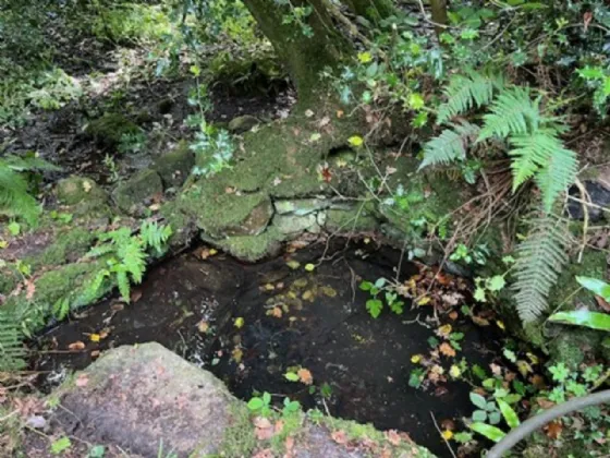 Photo of Derelict Bungalow On Circa 1.59 Acres, Brownsbarn, Thomastown, Co Kilkenny, R95 AK5V
