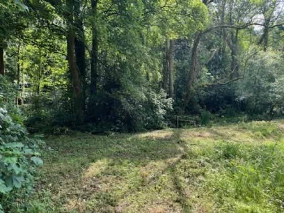 Photo of Derelict Bungalow On Circa 1.59 Acres, Brownsbarn, Thomastown, Co Kilkenny, R95 AK5V