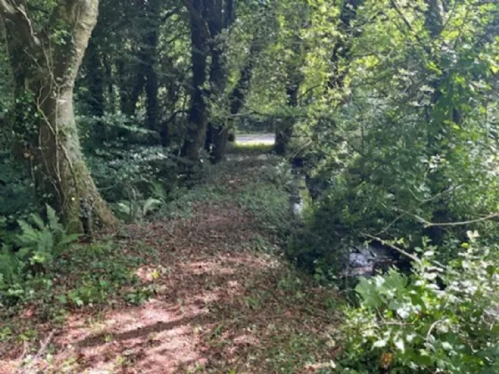 Photo of Derelict Bungalow On Circa 1.59 Acres, Brownsbarn, Thomastown, Co Kilkenny, R95 AK5V