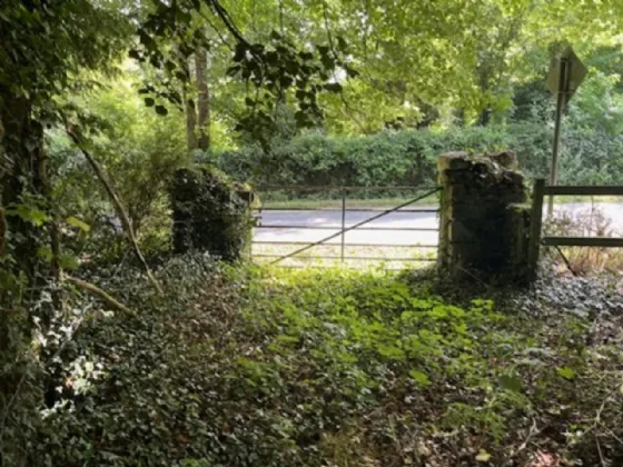 Photo of Derelict Bungalow On Circa 1.59 Acres, Brownsbarn, Thomastown, Co Kilkenny, R95 AK5V