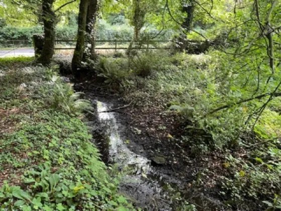 Photo of Derelict Bungalow On Circa 1.59 Acres, Brownsbarn, Thomastown, Co Kilkenny, R95 AK5V