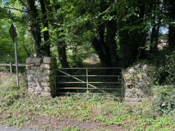 Photo of Derelict Bungalow On Circa 1.59 Acres, Brownsbarn, Thomastown, Co Kilkenny, R95 AK5V