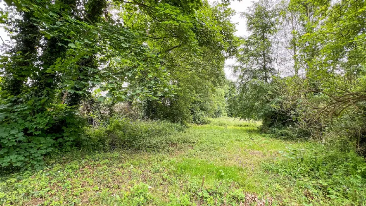 Photo of Derelict Bungalow On Circa 1.59 Acres, Brownsbarn, Thomastown, Co Kilkenny, R95 AK5V