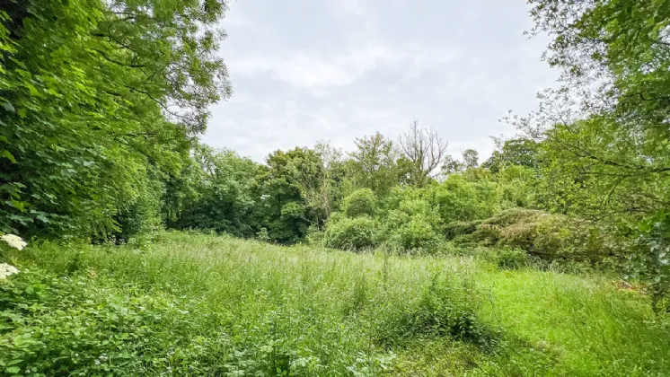 Photo of Derelict Bungalow On Circa 1.59 Acres, Brownsbarn, Thomastown, Co Kilkenny, R95 AK5V