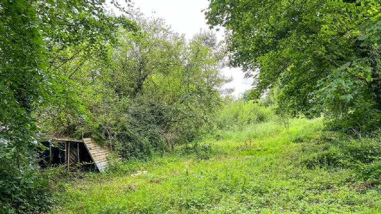 Photo of Derelict Bungalow On Circa 1.59 Acres, Brownsbarn, Thomastown, Co Kilkenny, R95 AK5V