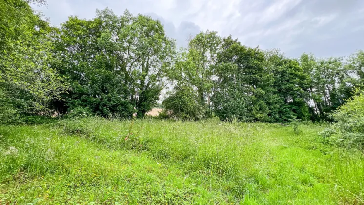 Photo of Derelict Bungalow On Circa 1.59 Acres, Brownsbarn, Thomastown, Co Kilkenny, R95 AK5V
