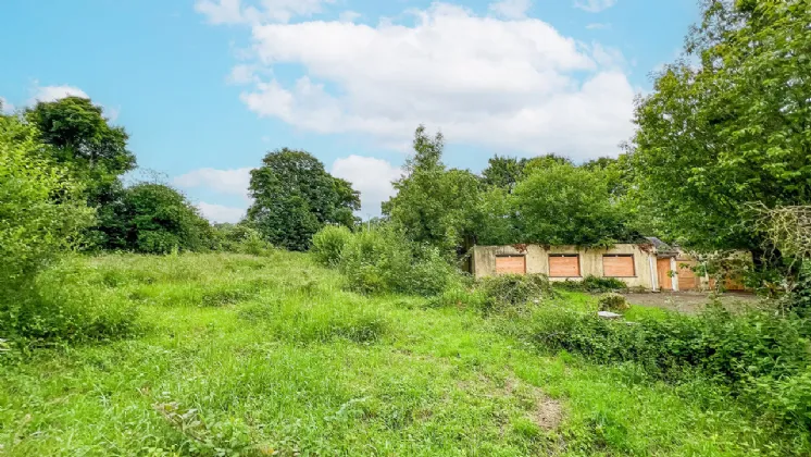 Photo of Derelict Bungalow On Circa 1.59 Acres, Brownsbarn, Thomastown, Co Kilkenny, R95 AK5V