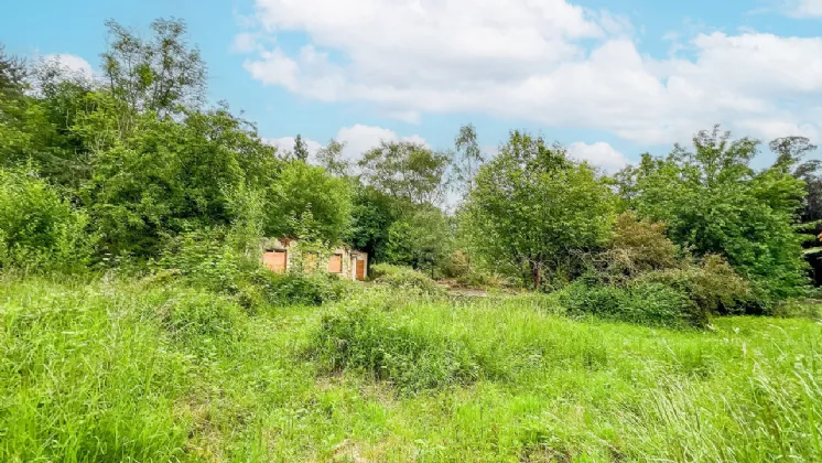 Photo of Derelict Bungalow On Circa 1.59 Acres, Brownsbarn, Thomastown, Co Kilkenny, R95 AK5V