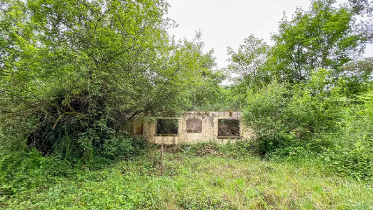 Photo of Derelict Bungalow On Circa 1.59 Acres, Brownsbarn, Thomastown, Co Kilkenny, R95 AK5V