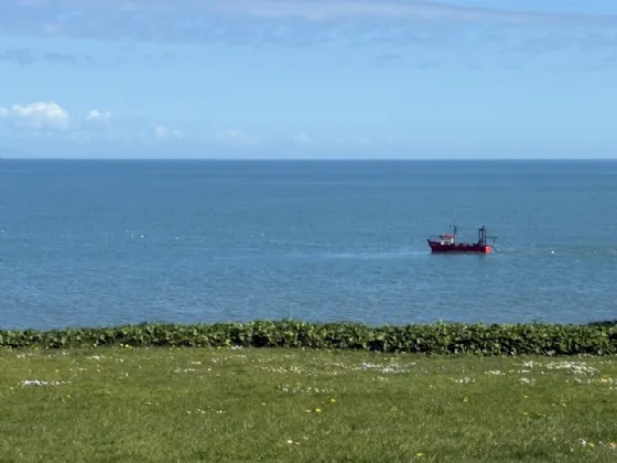 Photo of The Bower, Balbriggan, Co. Dublin, K32 PK88