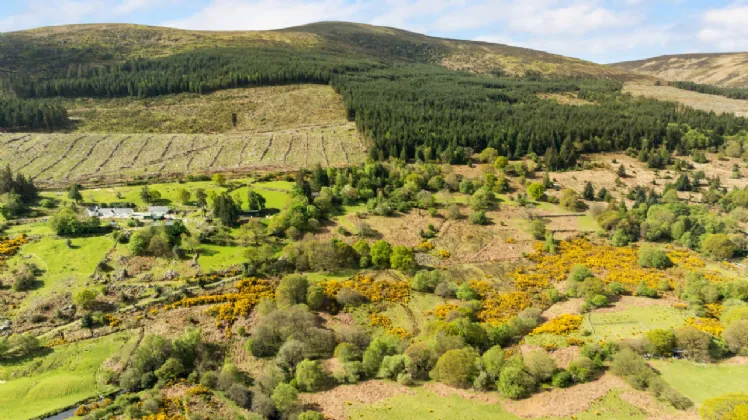 Photo of Ballyross, Enniskerry, Co. Wicklow, A98 TW27