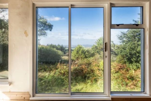 Photo of Pehuen, Shelmalier Commons, Barntown, Co. Wexford, Y35 E1W1