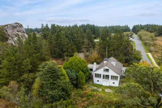 Photo of Pehuen, Shelmalier Commons, Barntown, Co. Wexford, Y35 E1W1