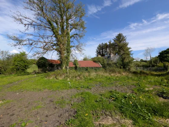 Photo of Clooninshin, Meelick, Swinford, Co Mayo