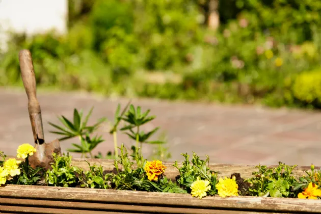 Photo of Mullanyduff, Castlegal, Co. Leitrim, F91F9T4