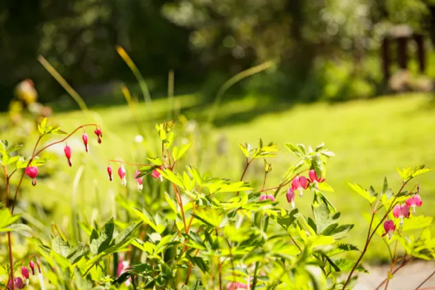 Photo of Mullanyduff, Castlegal, Co. Leitrim, F91F9T4