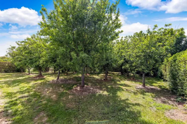 Photo of Freffans Manor, Freffans Little, Trim, Co Meath, C15 AK74