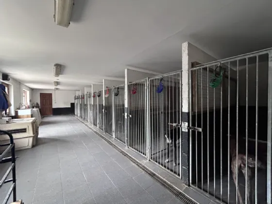 Photo of Masterstown, New Inn, Cashel, Co. Tipperary, E25FW64